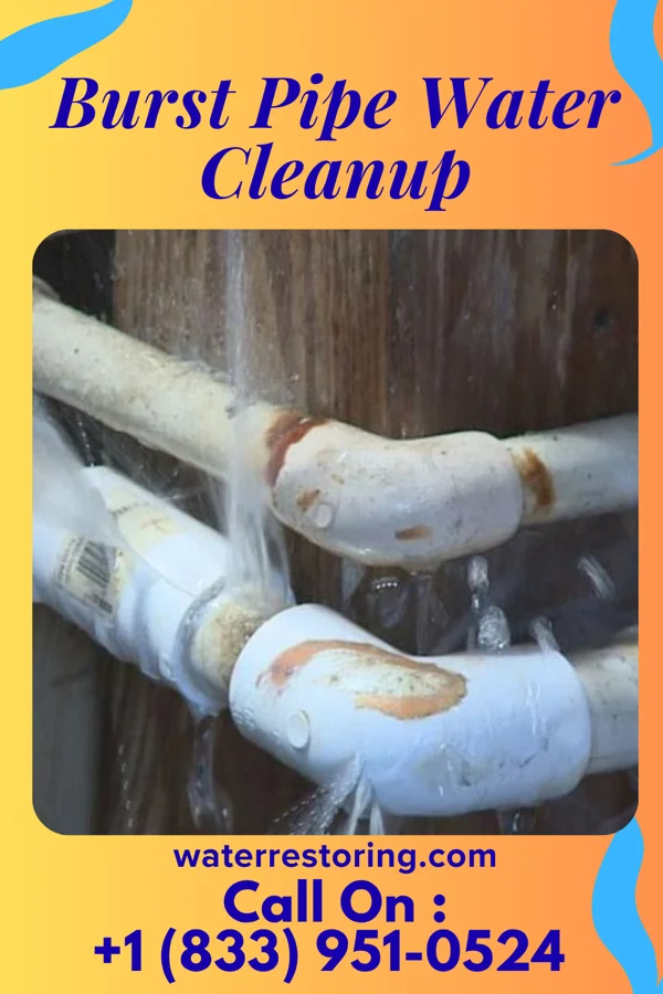 Burst Pipe Water Cleanup in Gladwin, MI