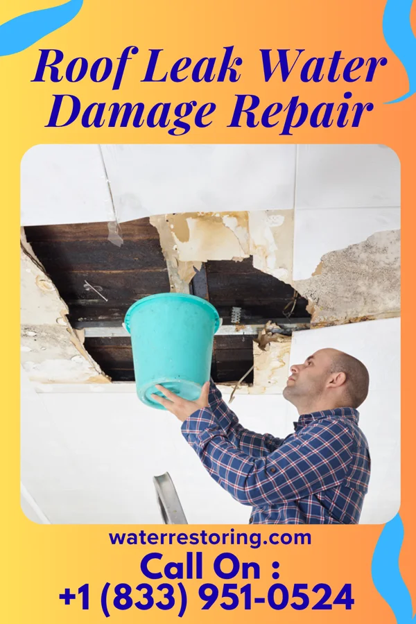 Roof Leak Water Damage Repair in Gladwin, MI