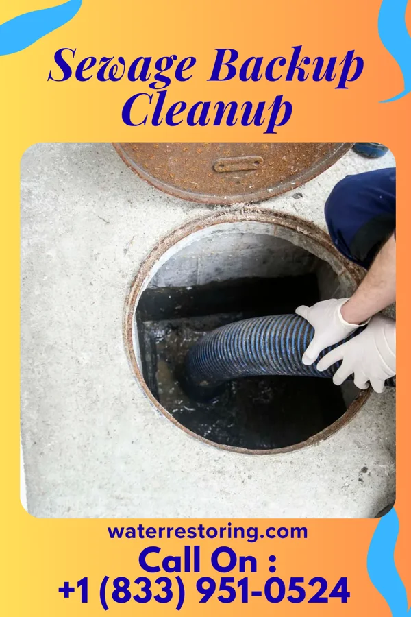 Sewage Backup Cleanup in Gladwin, MI